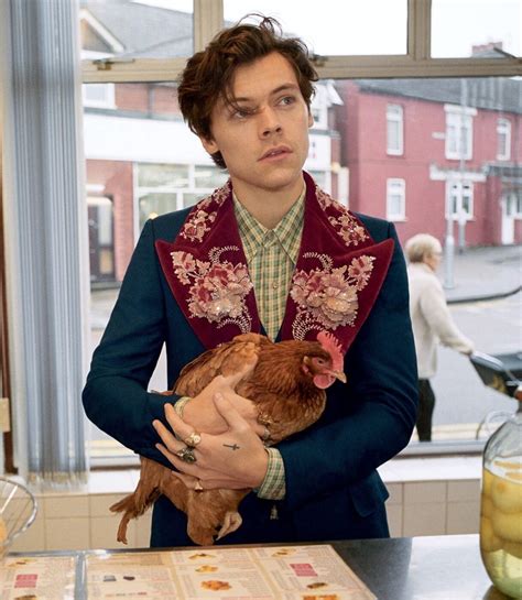 gucci mens tailoring harry styles|Harry Styles Gucci campaign.